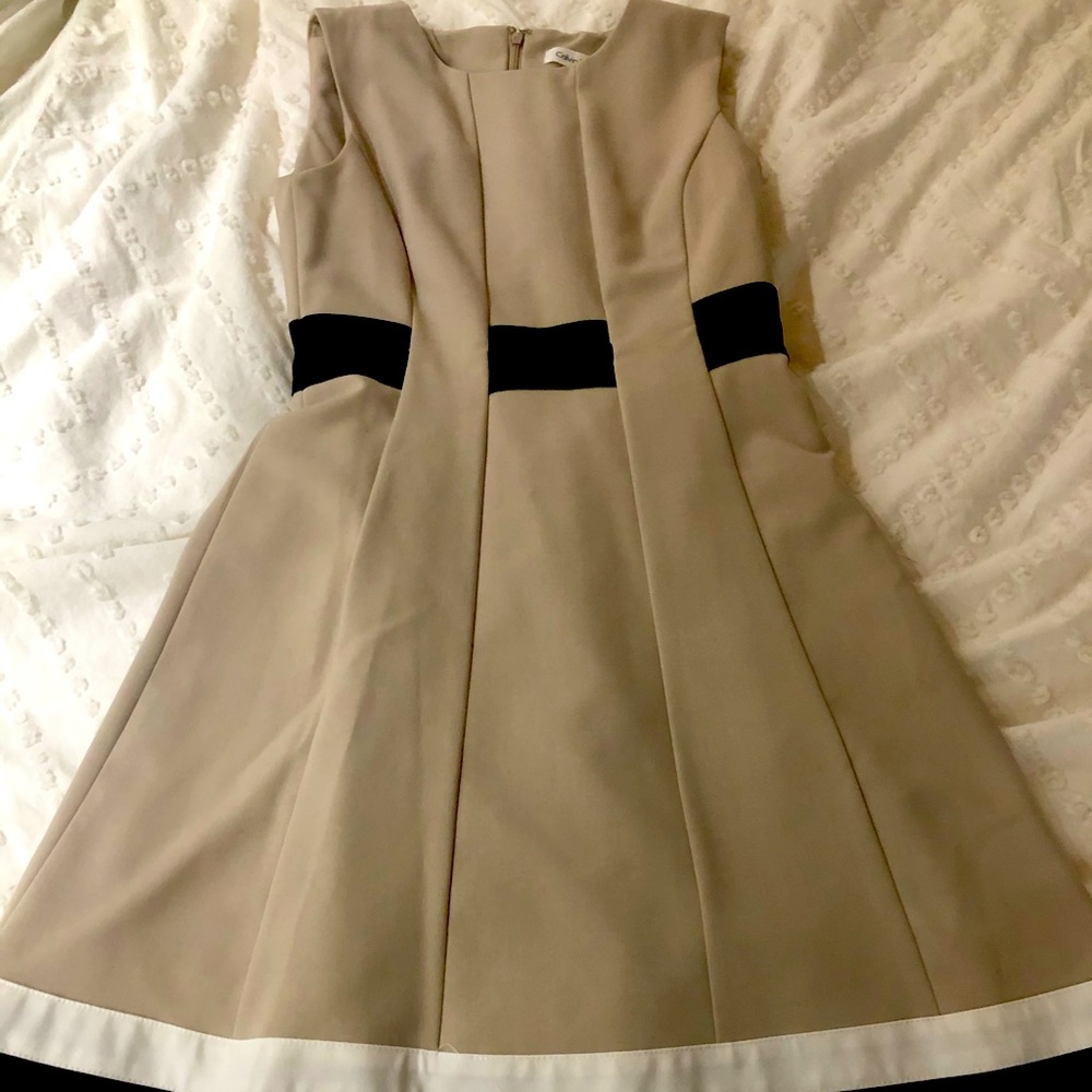 Calvin Klein Tan Dress Size 2